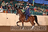 09yn-21492 proof