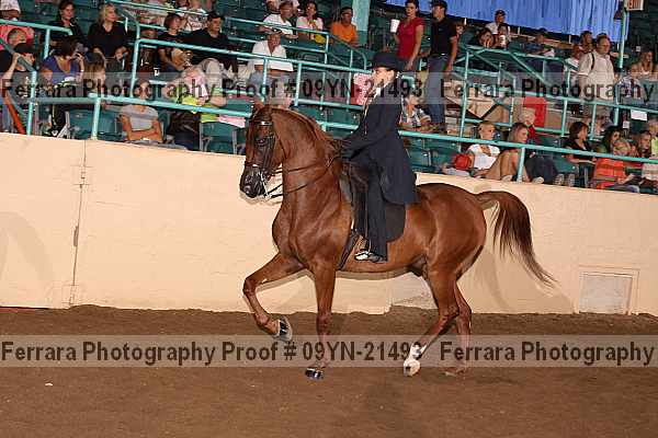 Proof 09yn-21493