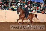 09yn-21493 proof