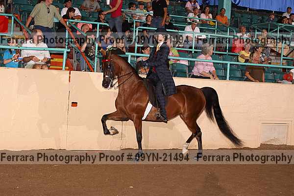 Proof 09yn-21494