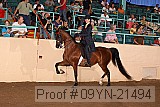 09yn-21494 proof