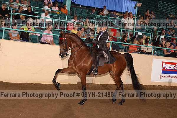 Proof 09yn-21495