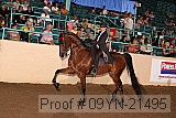 09yn-21495 proof