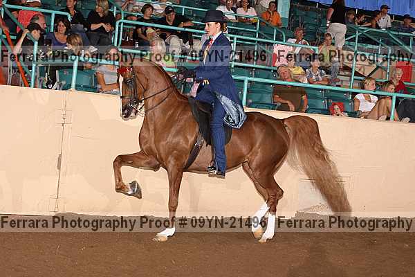 Proof 09yn-21496