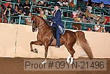 09yn-21496 proof