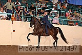 09yn-21497 proof