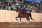 09yn-21498 proof