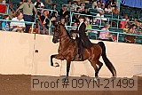 09yn-21499 proof