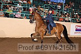09yn-21501 proof