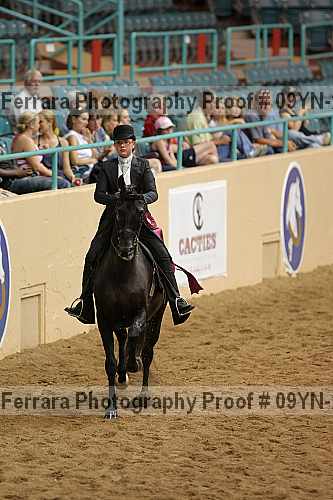 Proof 09yn-21544