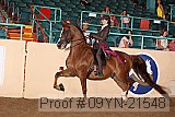09yn-21548 proof