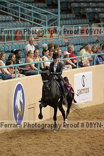 Proof 09yn-21549