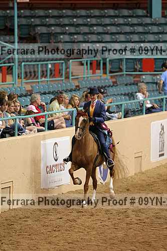 Proof 09yn-21555