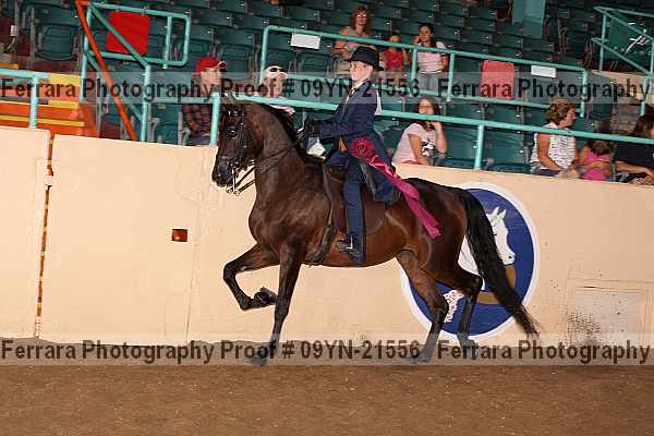 Proof 09yn-21556