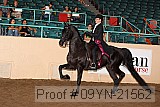 09yn-21562 proof