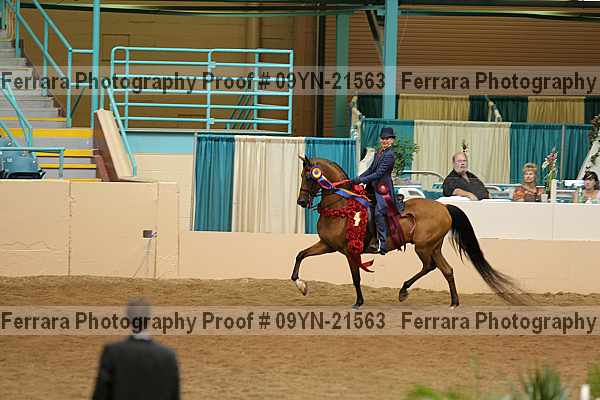 Proof 09yn-21563