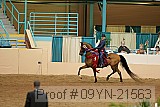 09yn-21563 proof