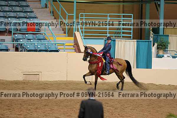 Proof 09yn-21564