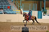 09yn-21564 proof