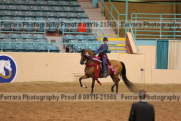 Proof 09yn-21565