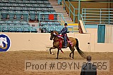 09yn-21565 proof