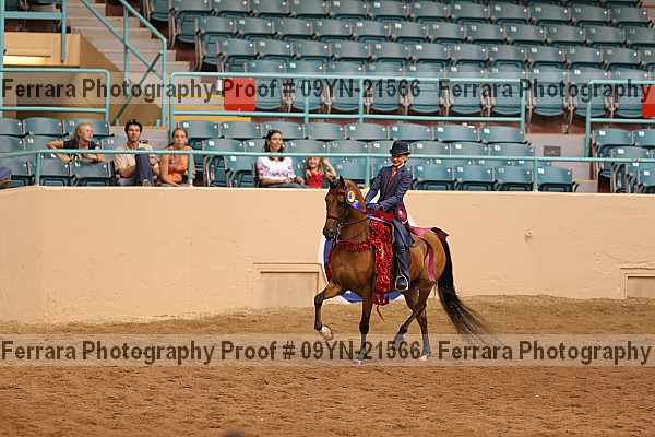 Proof 09yn-21566