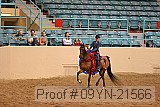 09yn-21566 proof