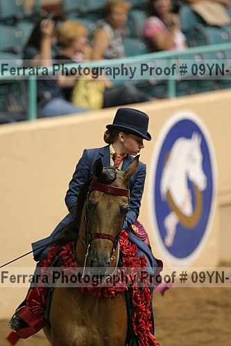Proof 09yn-21573