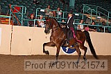 09yn-21574 proof