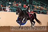 09yn-21577 proof