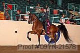 09yn-21578 proof