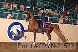 09yn-21579 proof