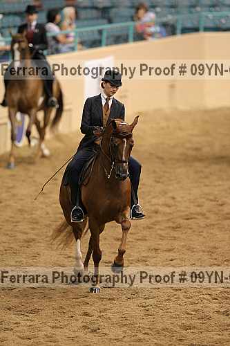 Proof 09yn-07619