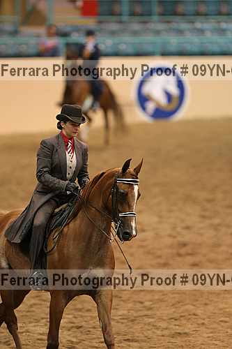 Proof 09yn-07624