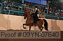 09yn-07640 proof