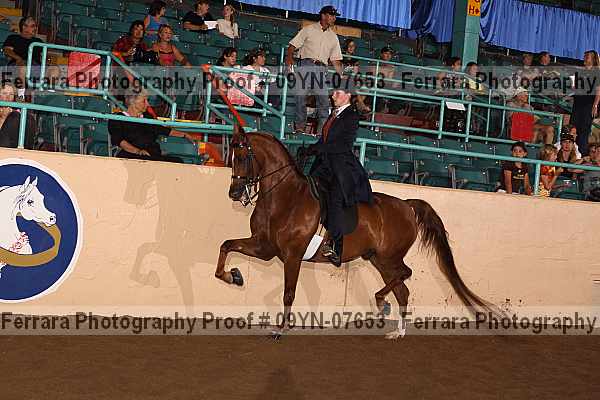 Proof 09yn-07653