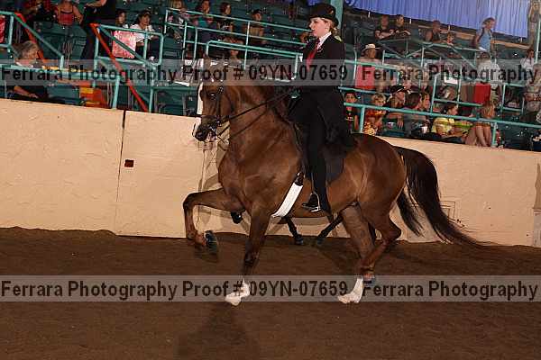 Proof 09yn-07659