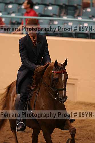 Proof 09yn-07665