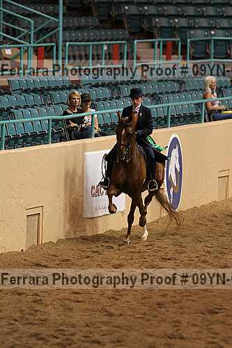 Proof 09yn-07674