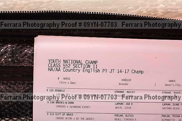 Proof 09yn-07703