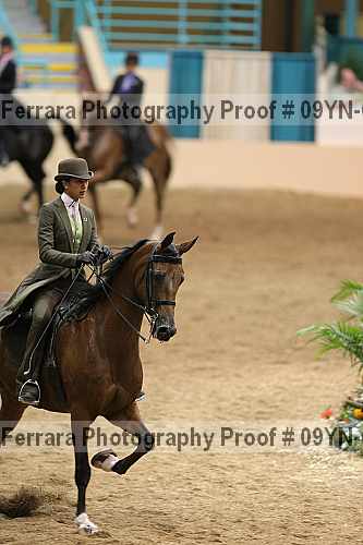 Proof 09yn-07704