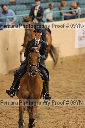Proof 09yn-07705