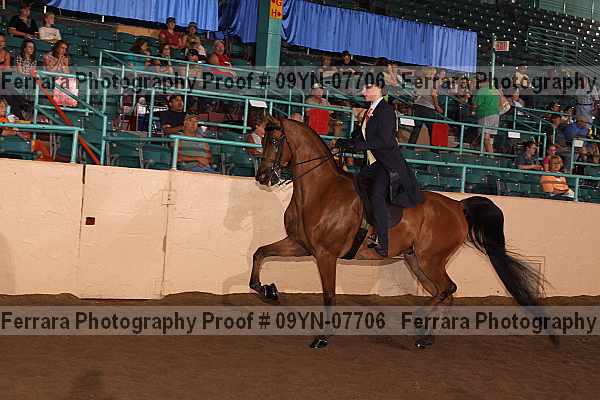 Proof 09yn-07706