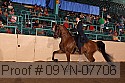 09yn-07706 proof