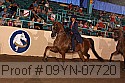09yn-07720 proof