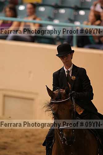Proof 09yn-07730