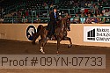 09yn-07733 proof
