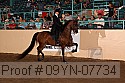 09yn-07734 proof