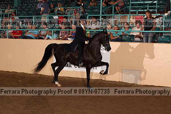 Proof 09yn-07735