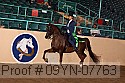 09yn-07763 proof